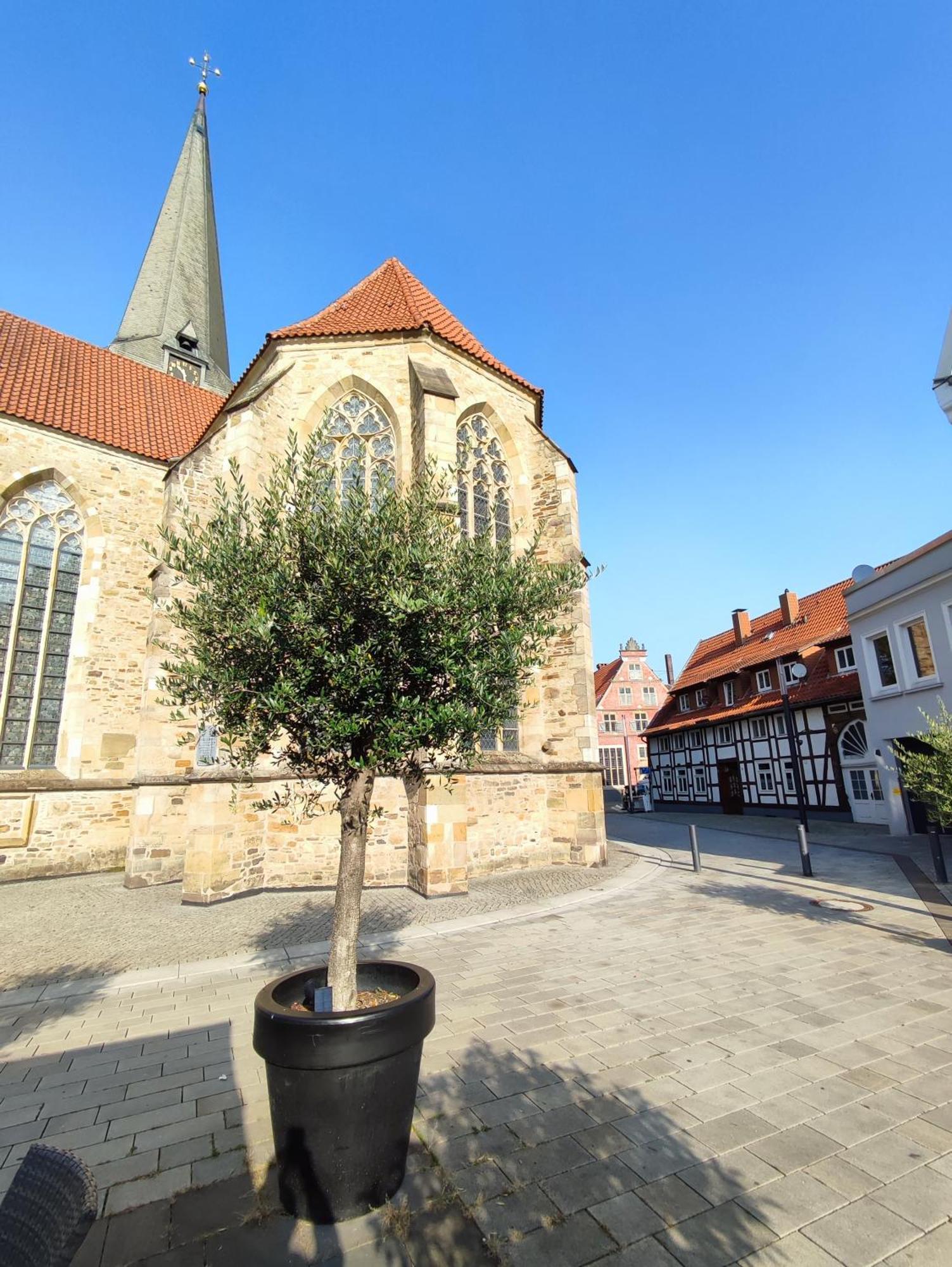 'Bright 1' Innenstadtlage, Ruhige, Schoene, Helle 3Zkb Wlan Herford Zewnętrze zdjęcie
